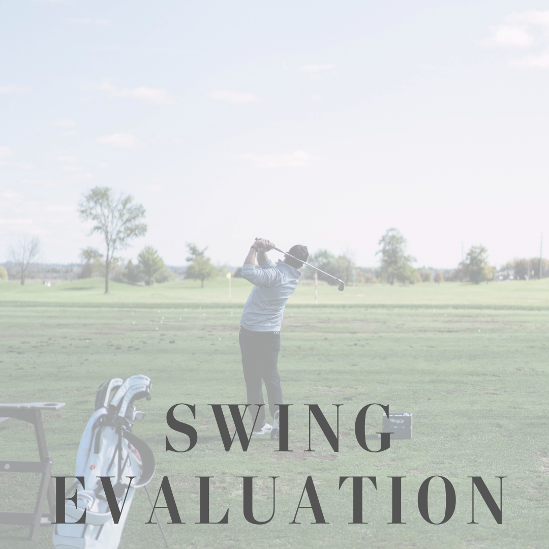 swing evaluation